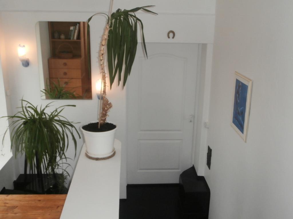 Private Apartment For You Tartu Værelse billede